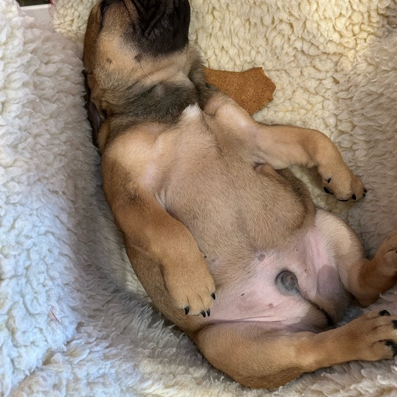 Meet your Posher, Felisa - Picture 3 of 10